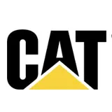 cat-1